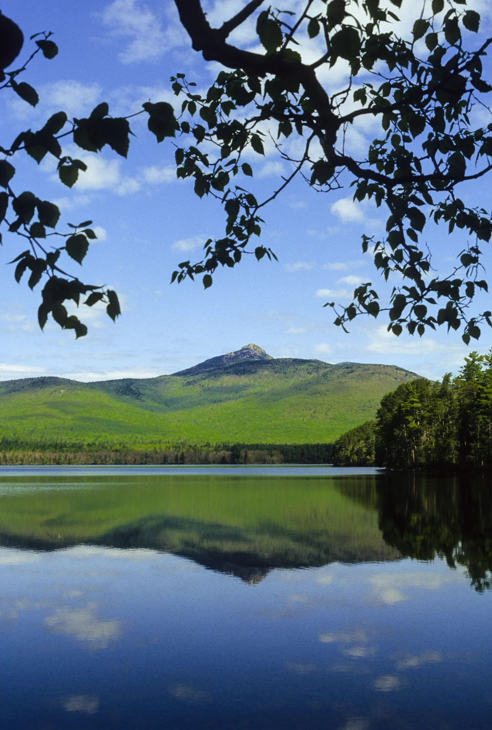 Mount Chocorua Summer Day