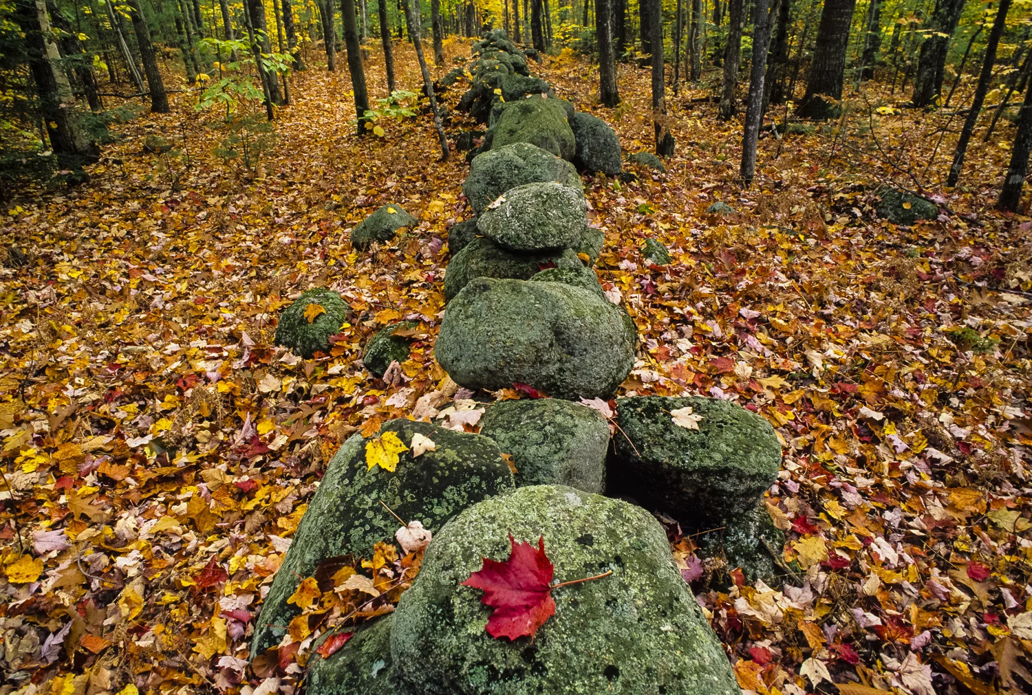 The Stone Fence