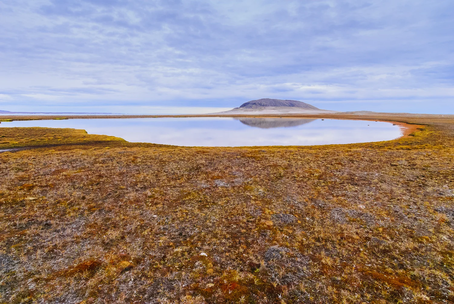 The Tundra Pond