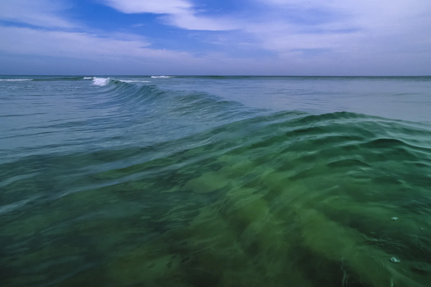 The Ocean Wilderness