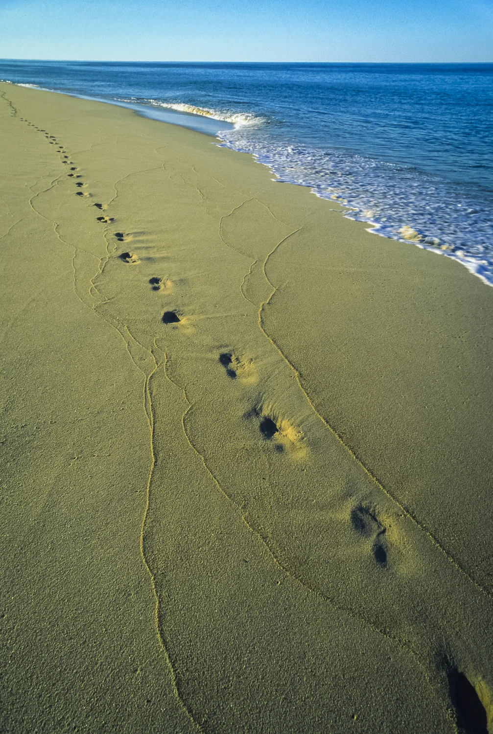 Leave Only Footprints