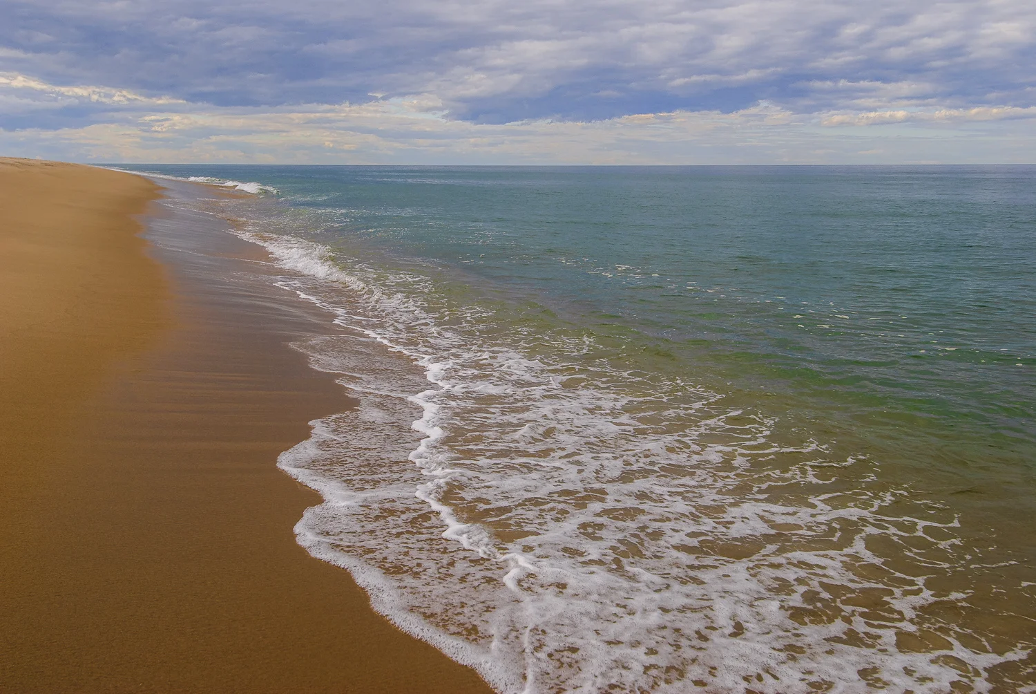 THe Wildest Shore