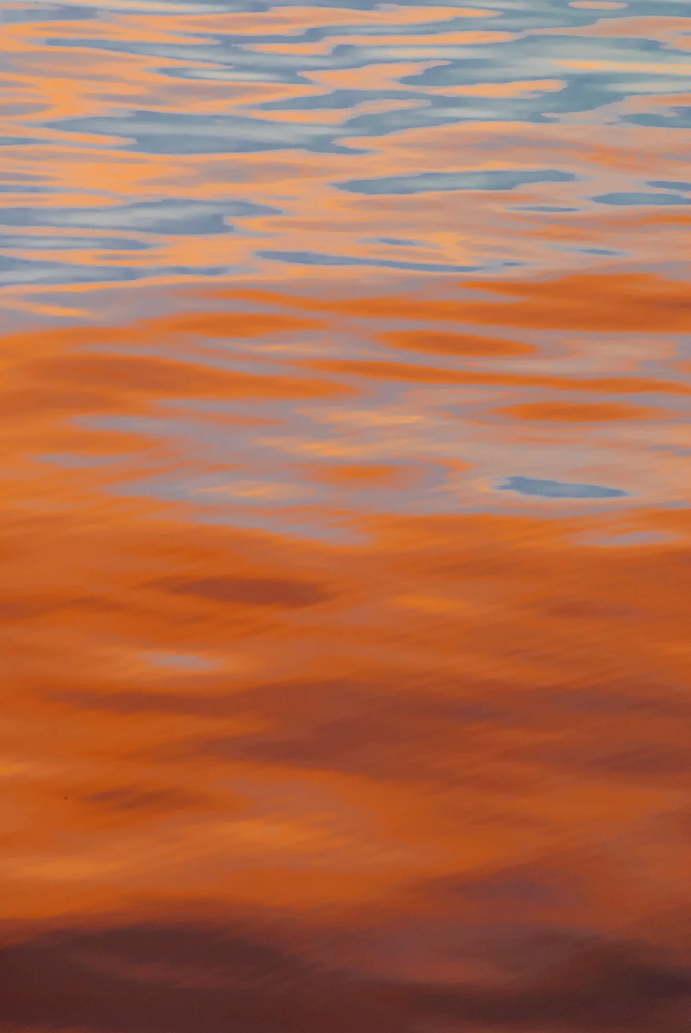Shades of Red and Blue