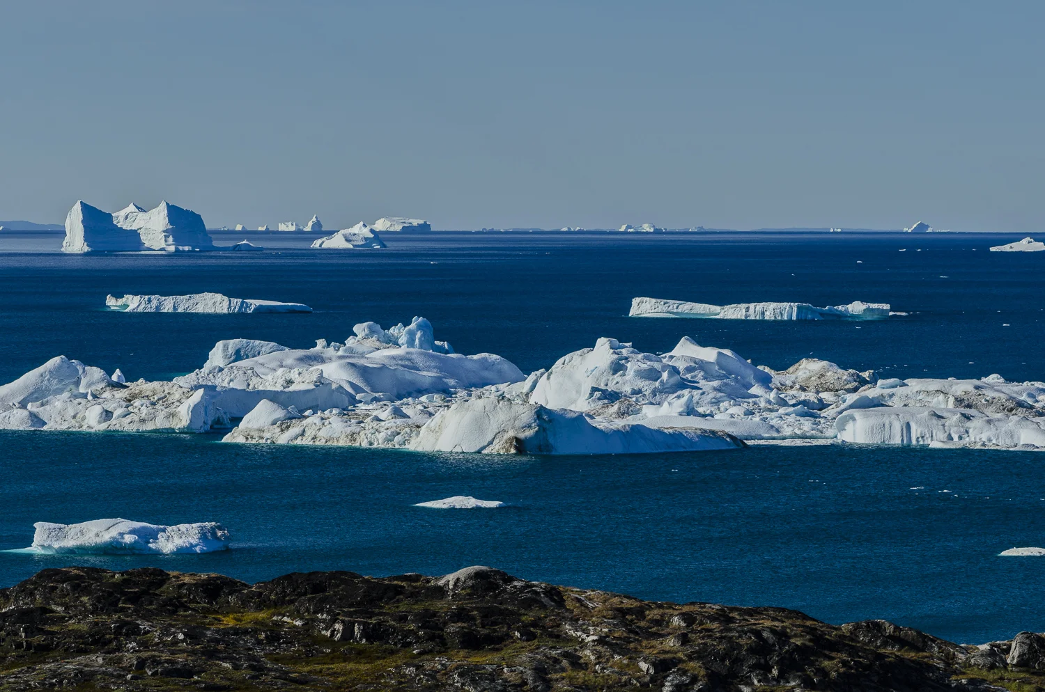Iceberg Armada