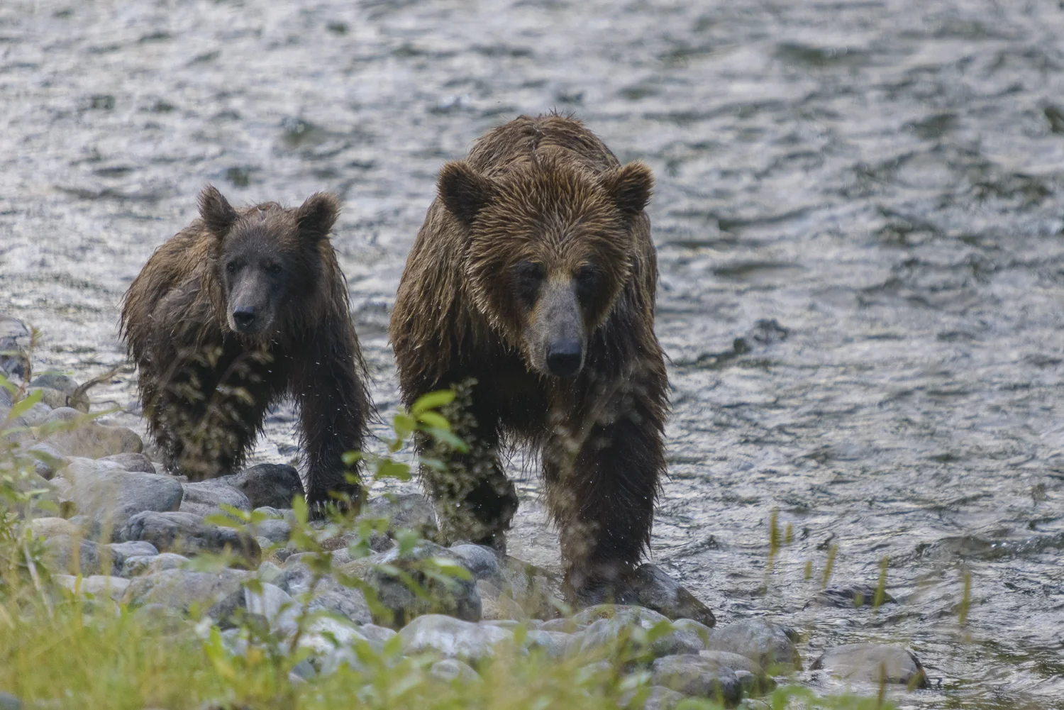 Northern British Columbia, Canada