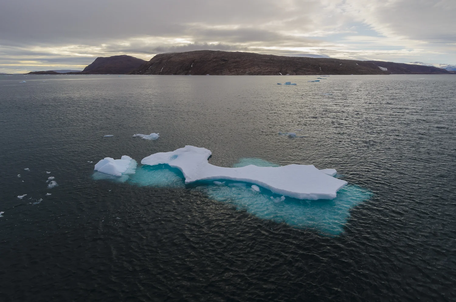 Ice Growler