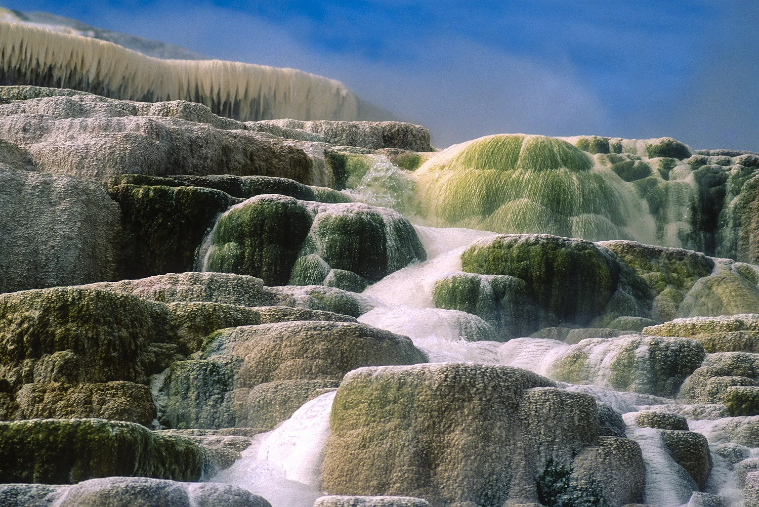 Mammoth Hot Springs