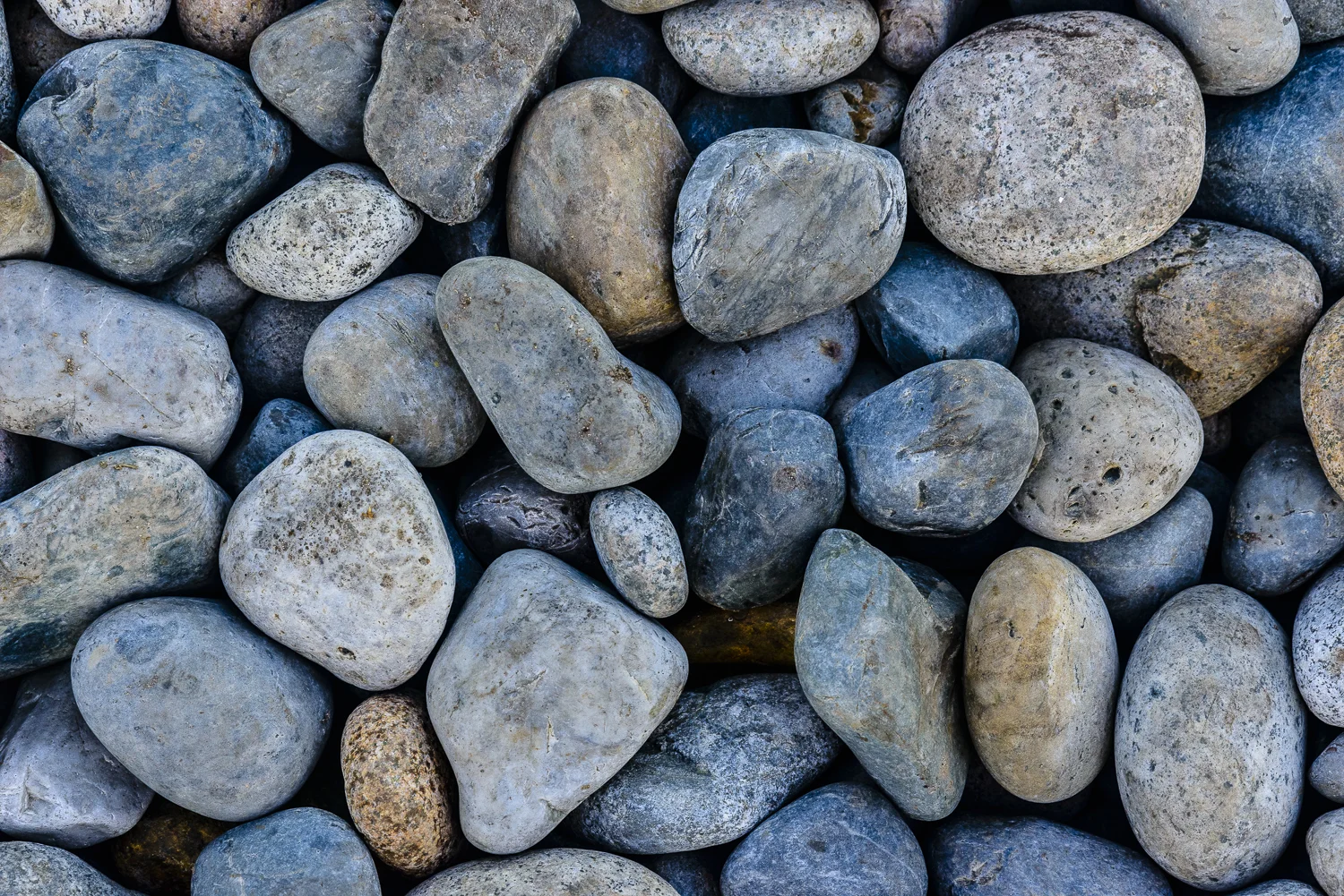 Beach Mosaic