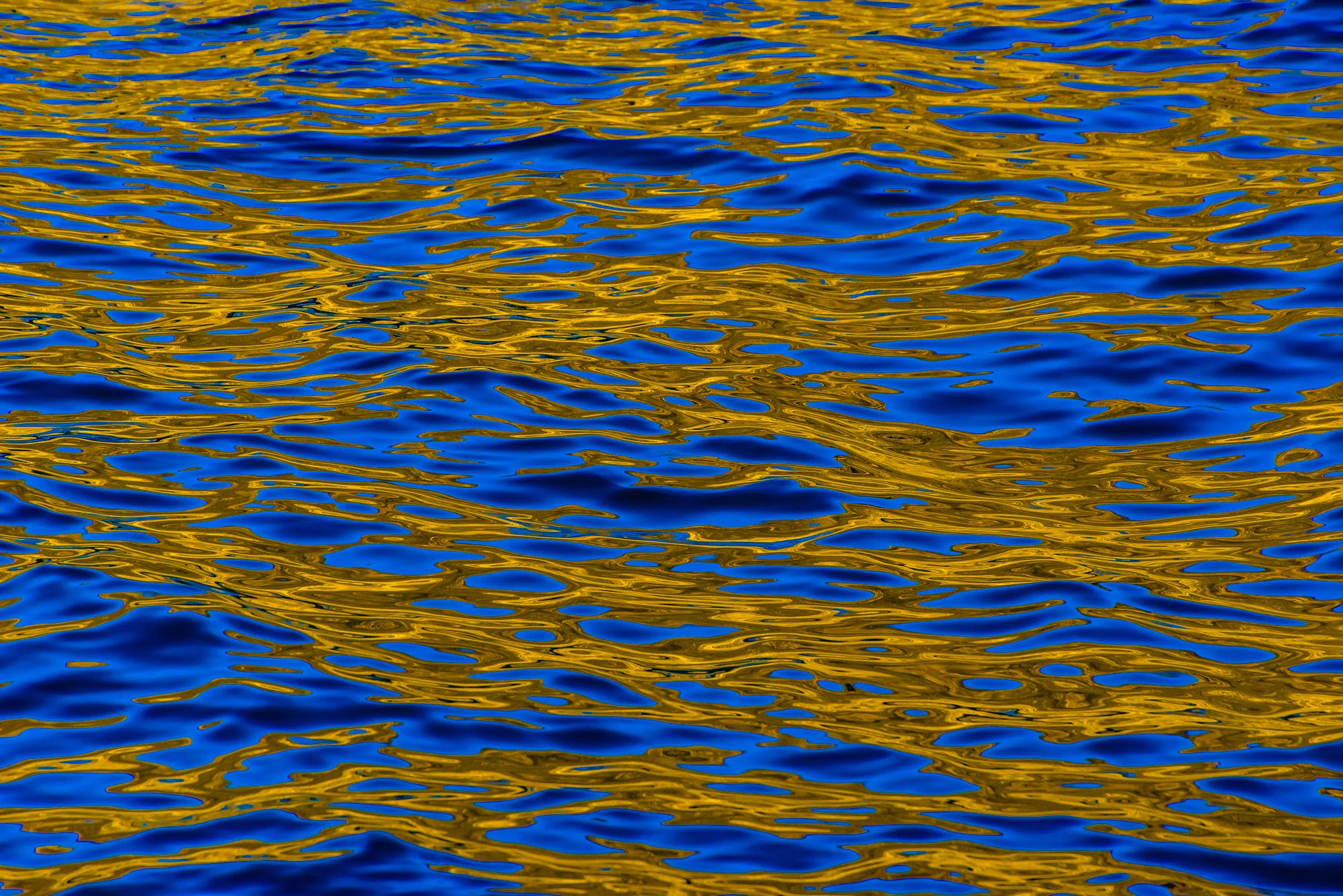 Blue and Gold Reflections