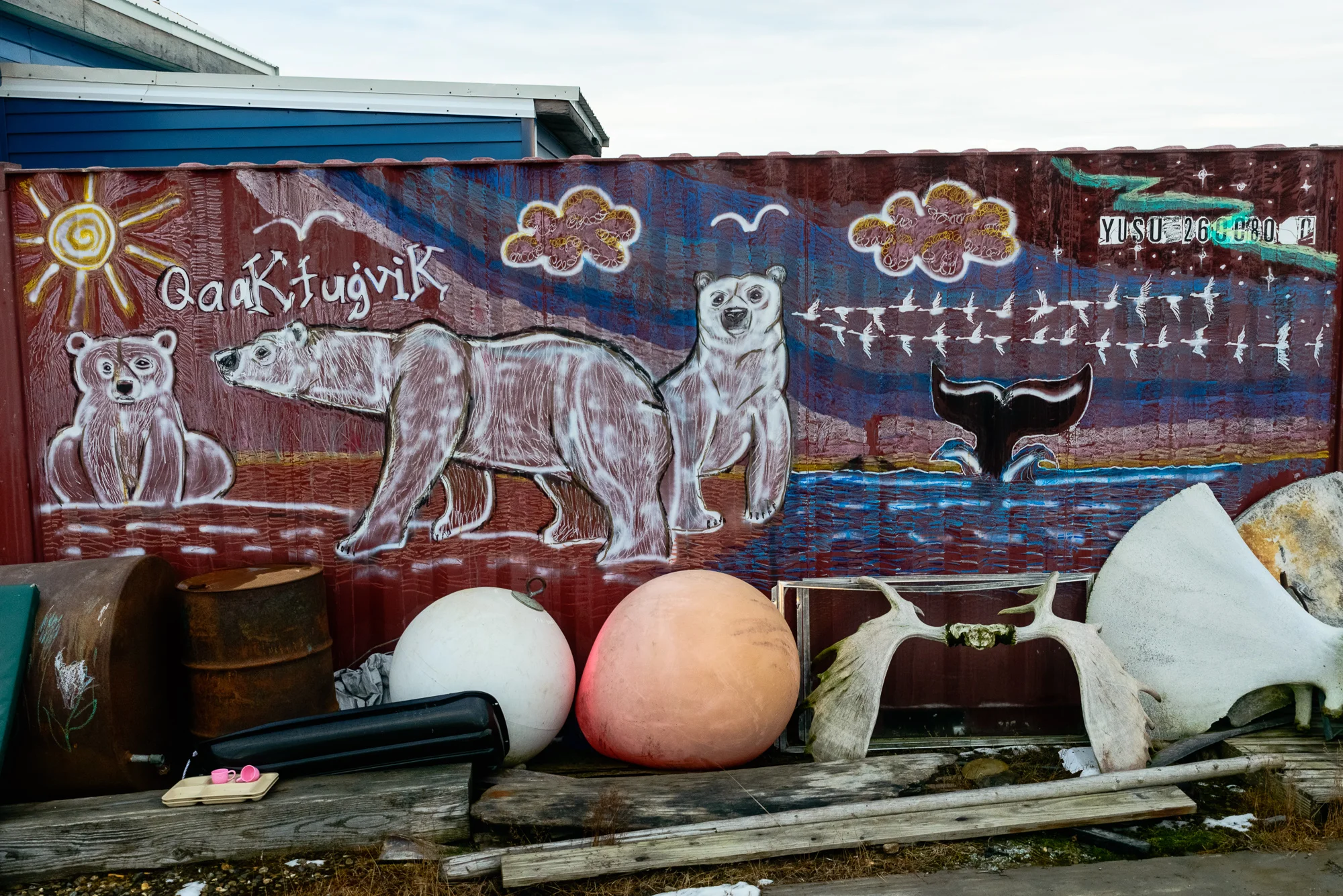 Kaktovik Bears-30.jpg