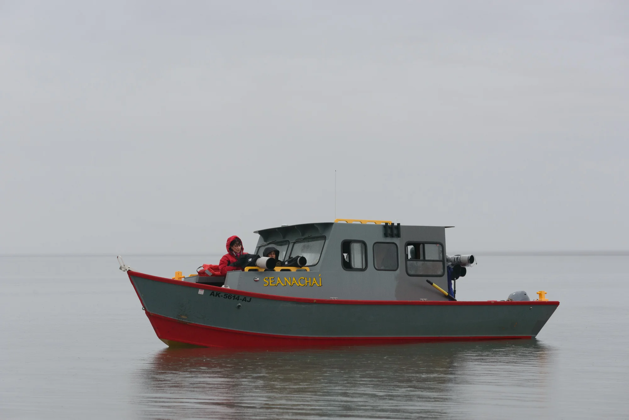 Kaktovik Bears-27.jpg