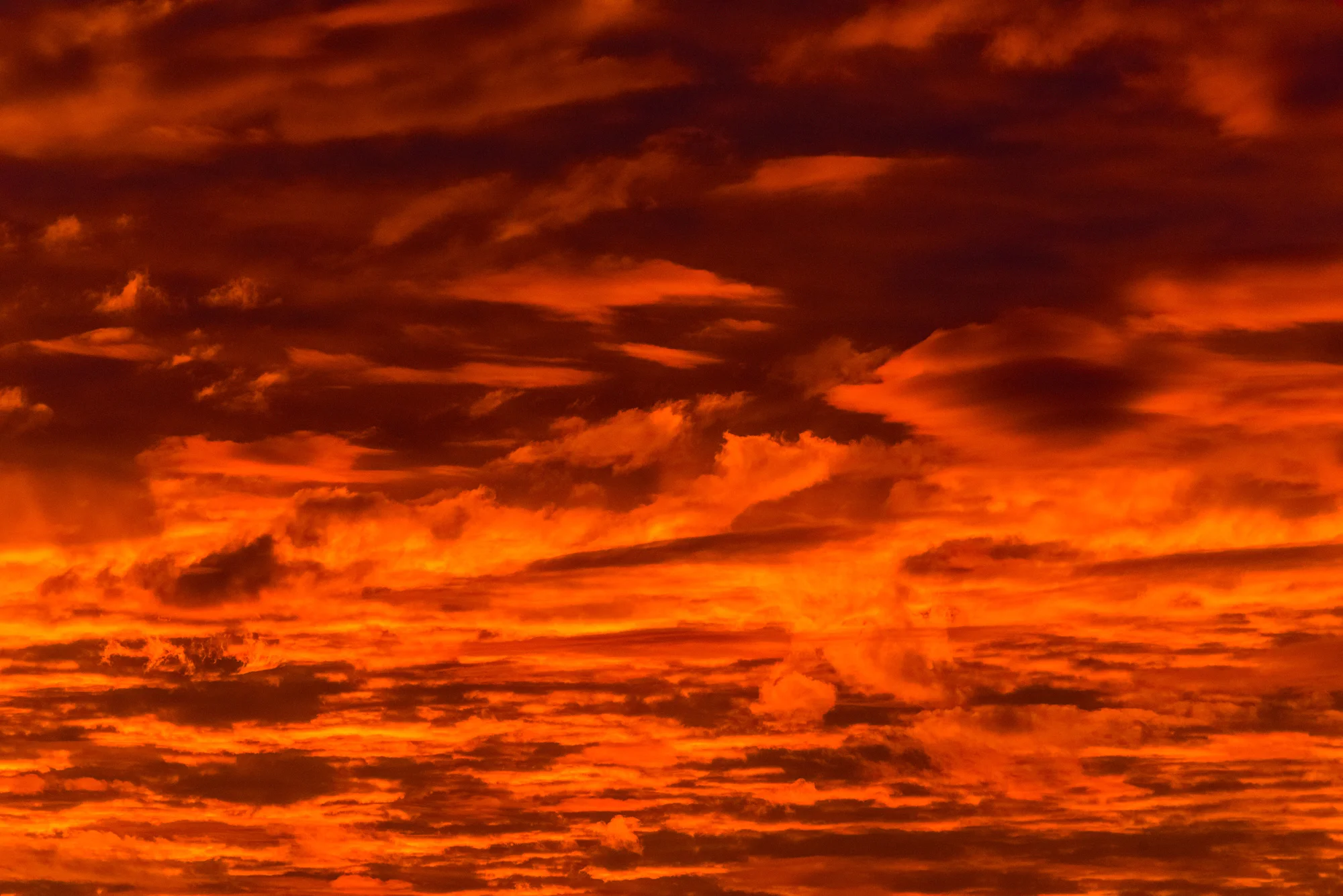 Umijujaq Skies