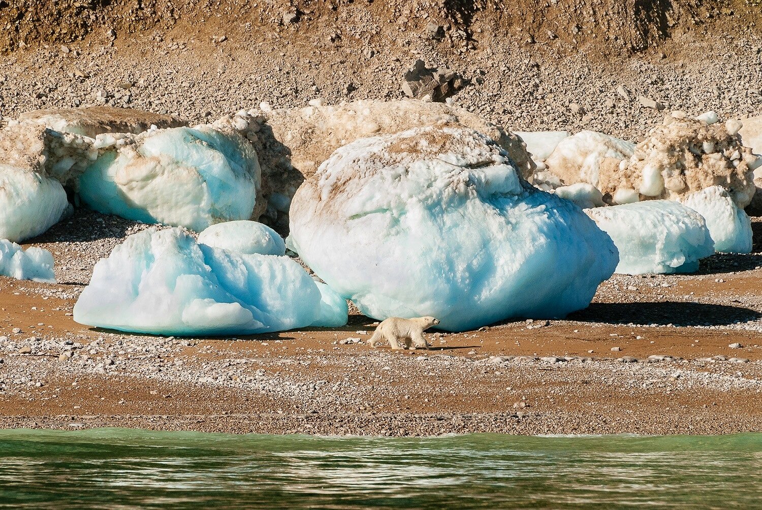 Stranded Polar Bear and Giant Ice Blocks