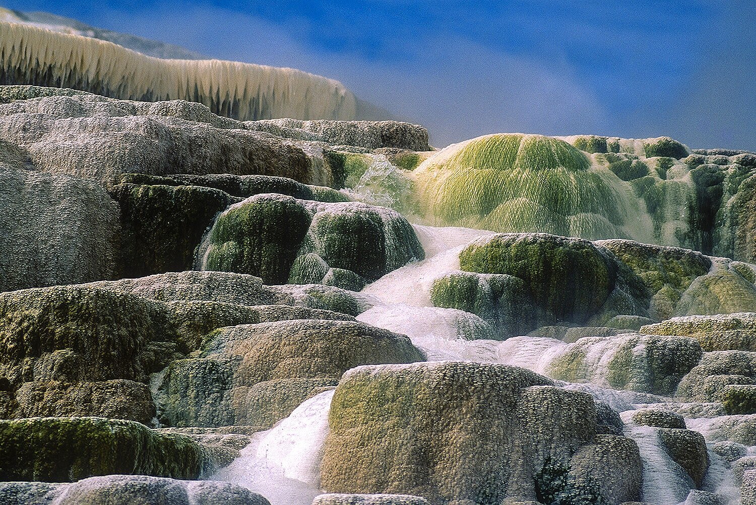 Mammoth Hot Springs 