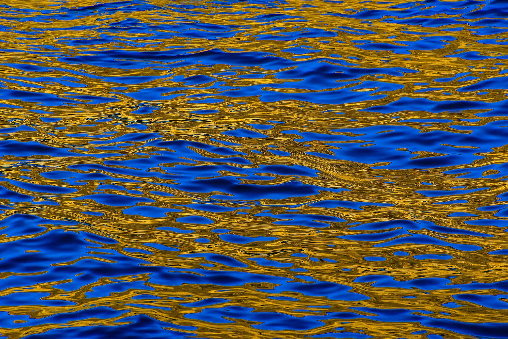 Blue and Gold Reflections
