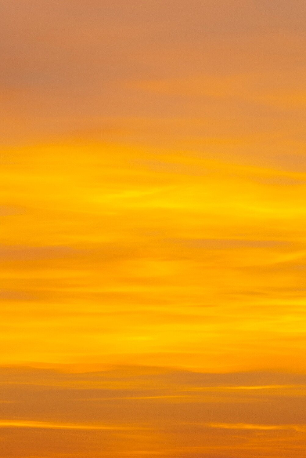 Ochre Skies