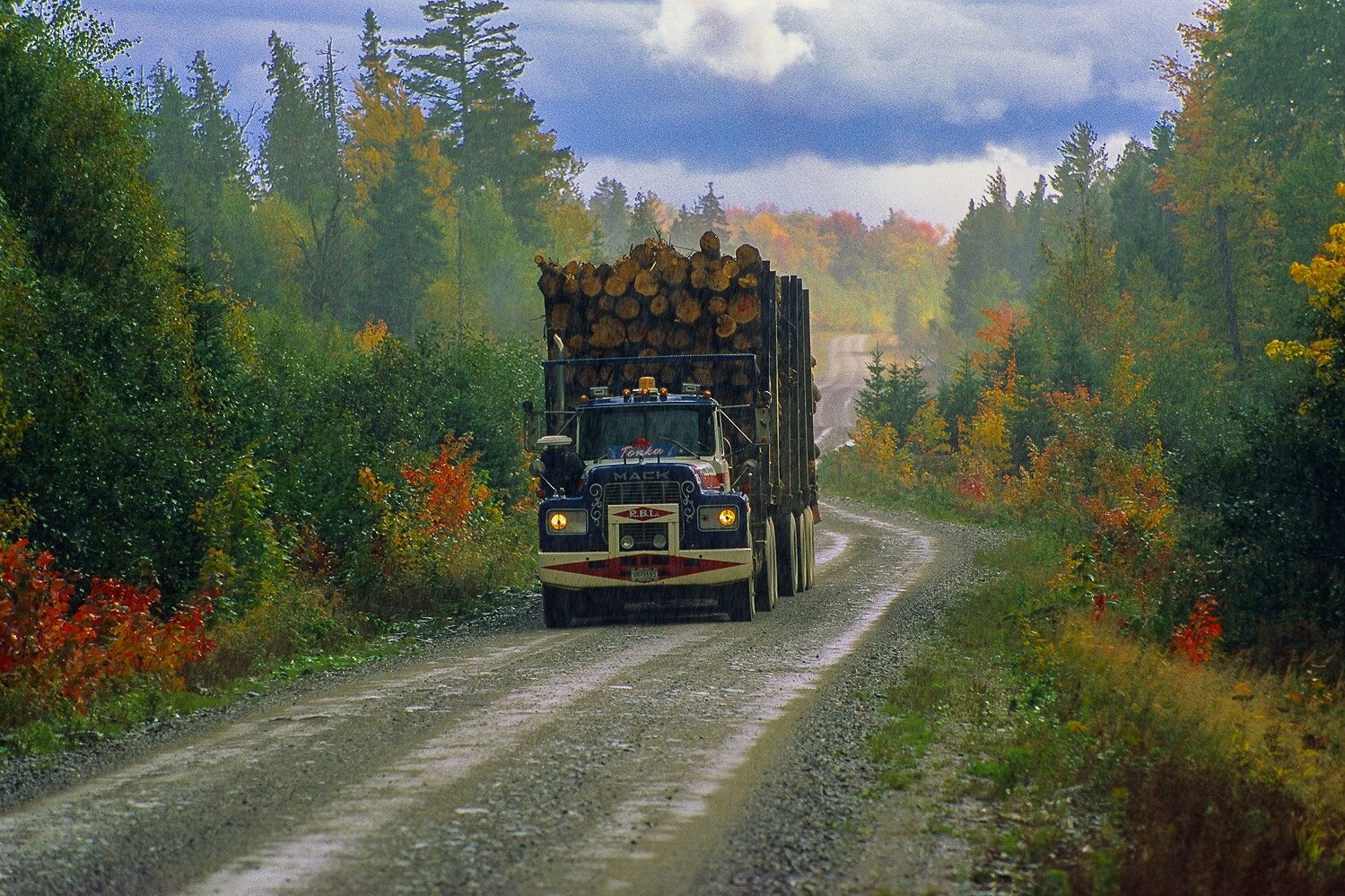 Logging Truck on Woods Road