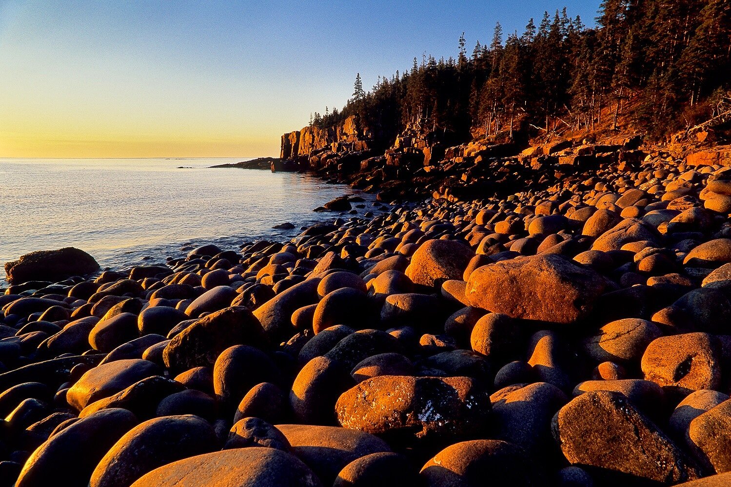 Otter Cliffs at Sunrise 