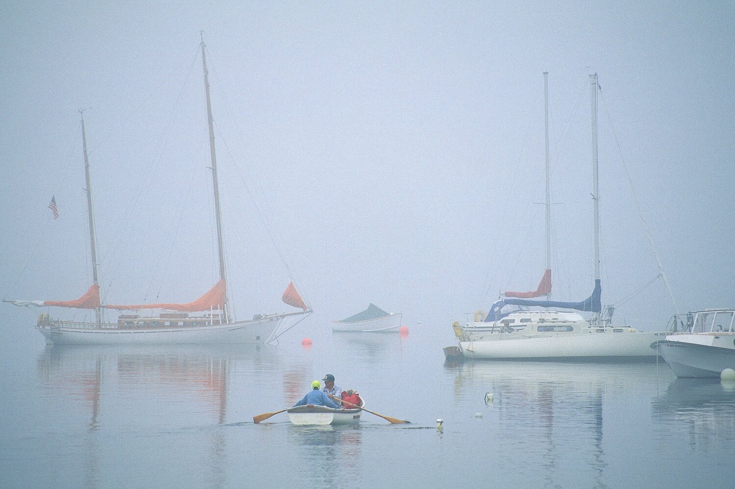 Maine Summer Morning 