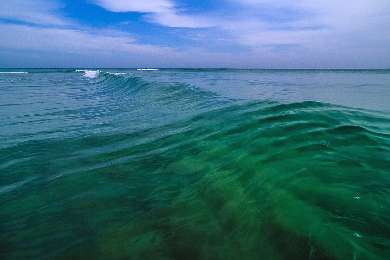 The Ocean Wilderness 