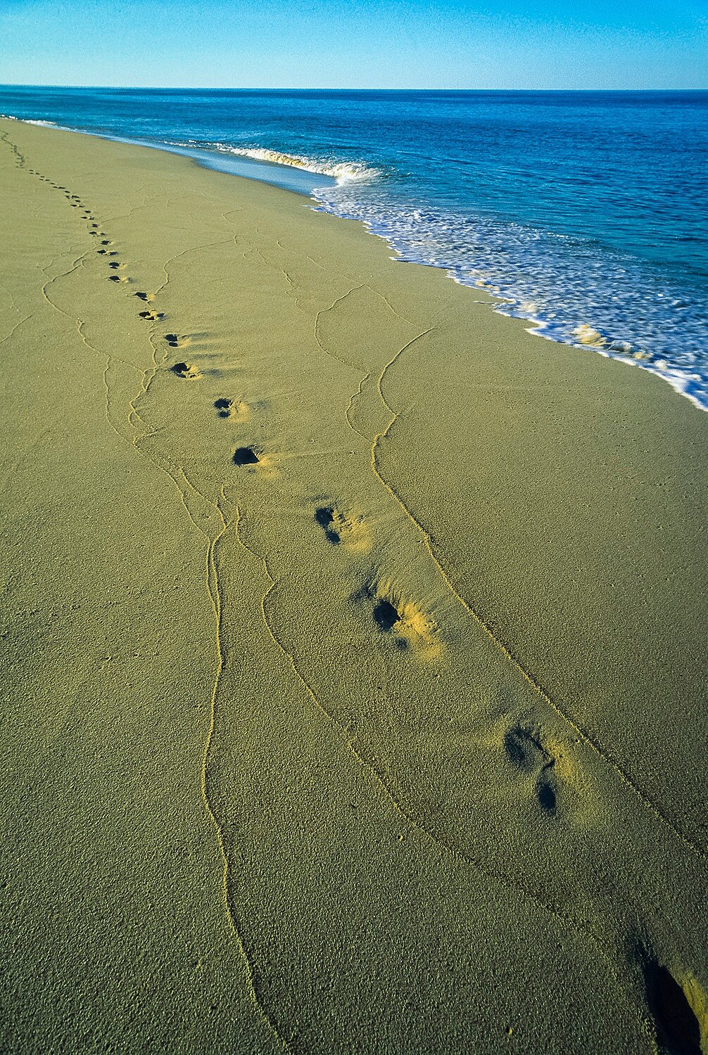 Leave Only Footprints 