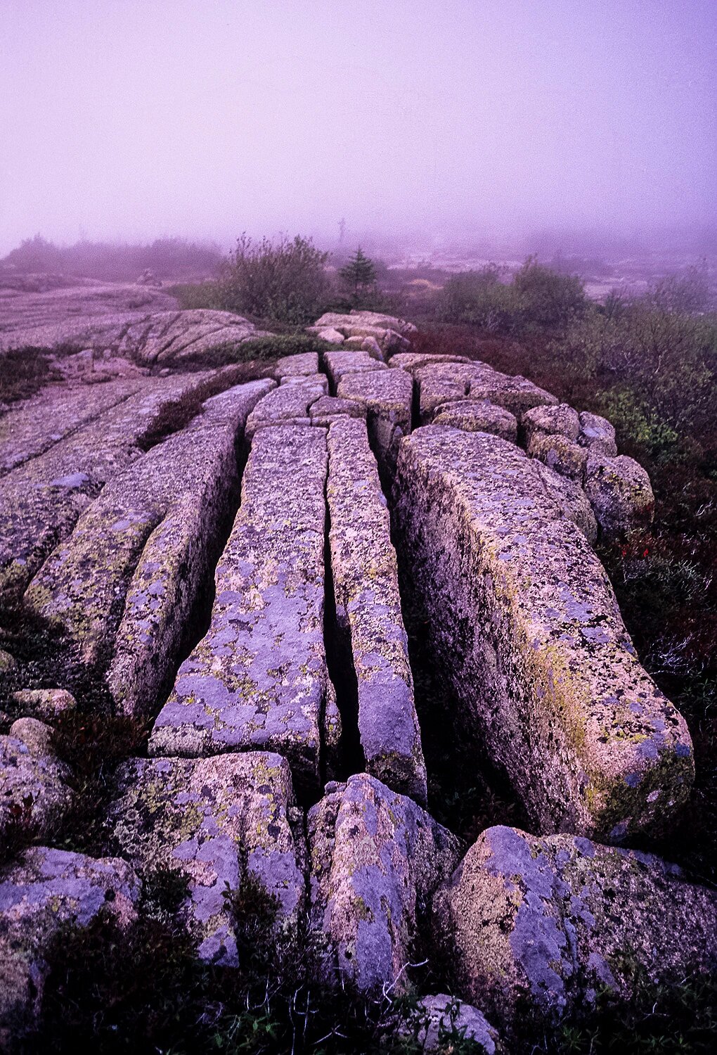 Pink Granite Glacial Striations