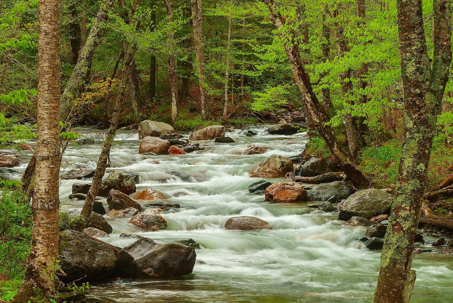 Mad River Springtime 