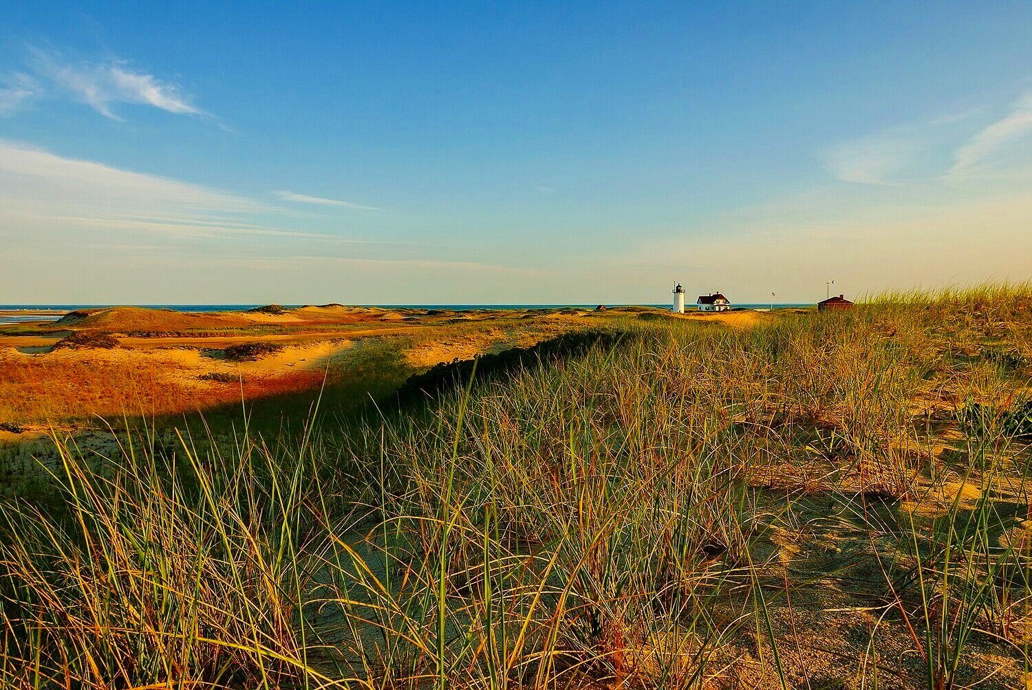 Summer Evening at Race Point Light 