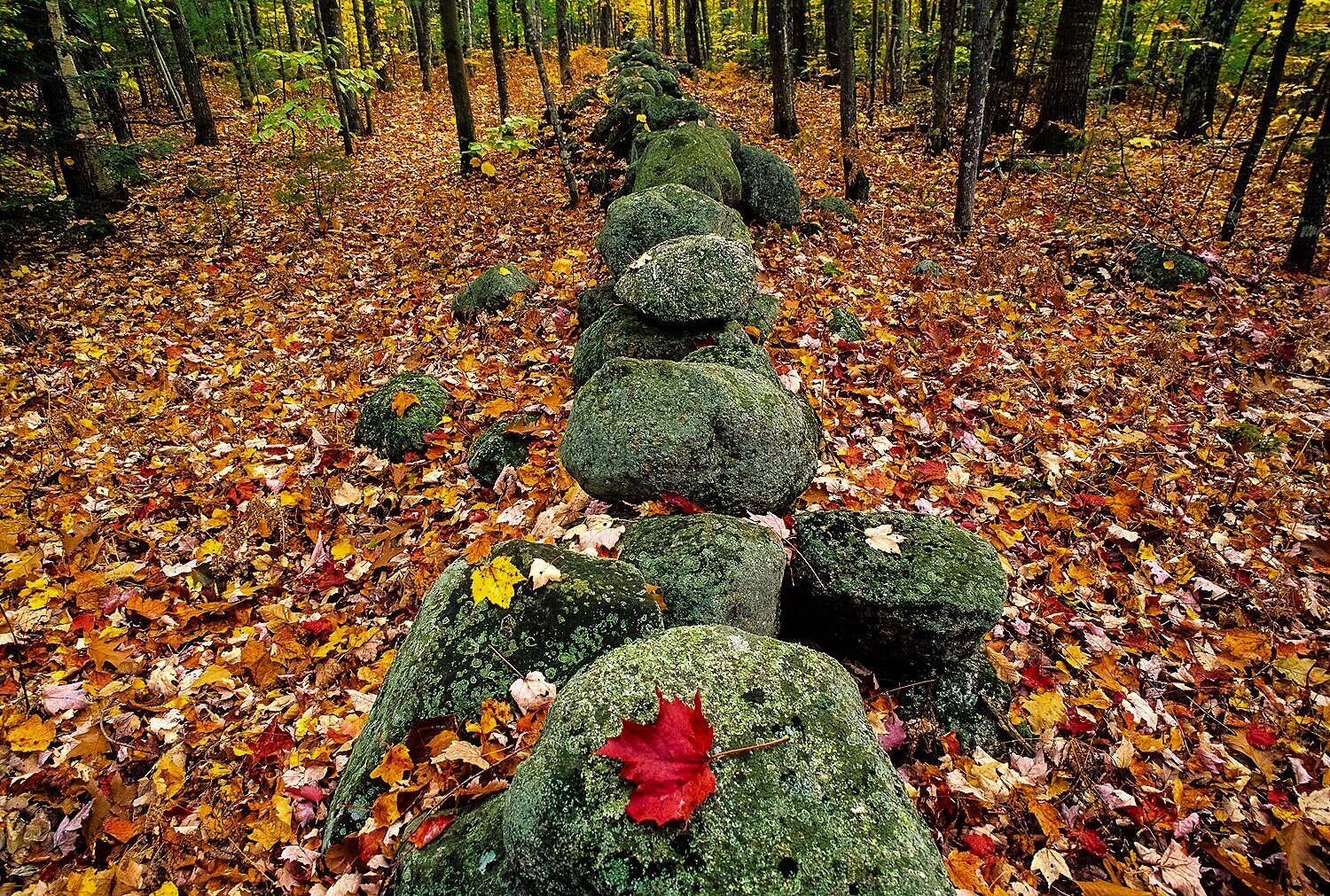 The Stone Fence 