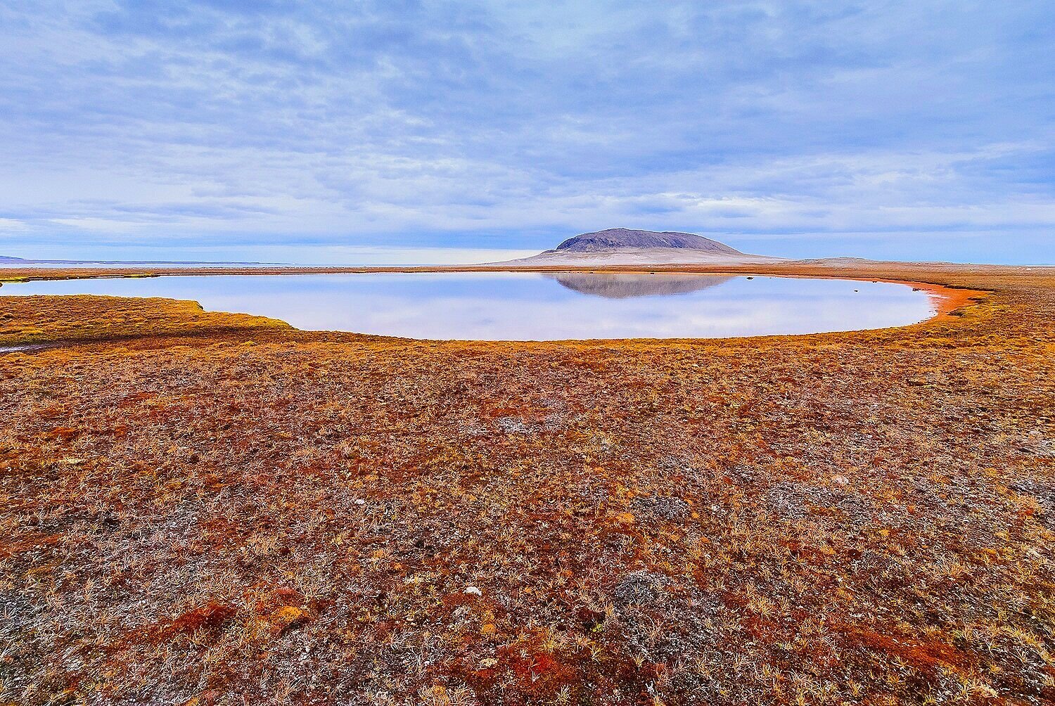 The Tundra Pond 