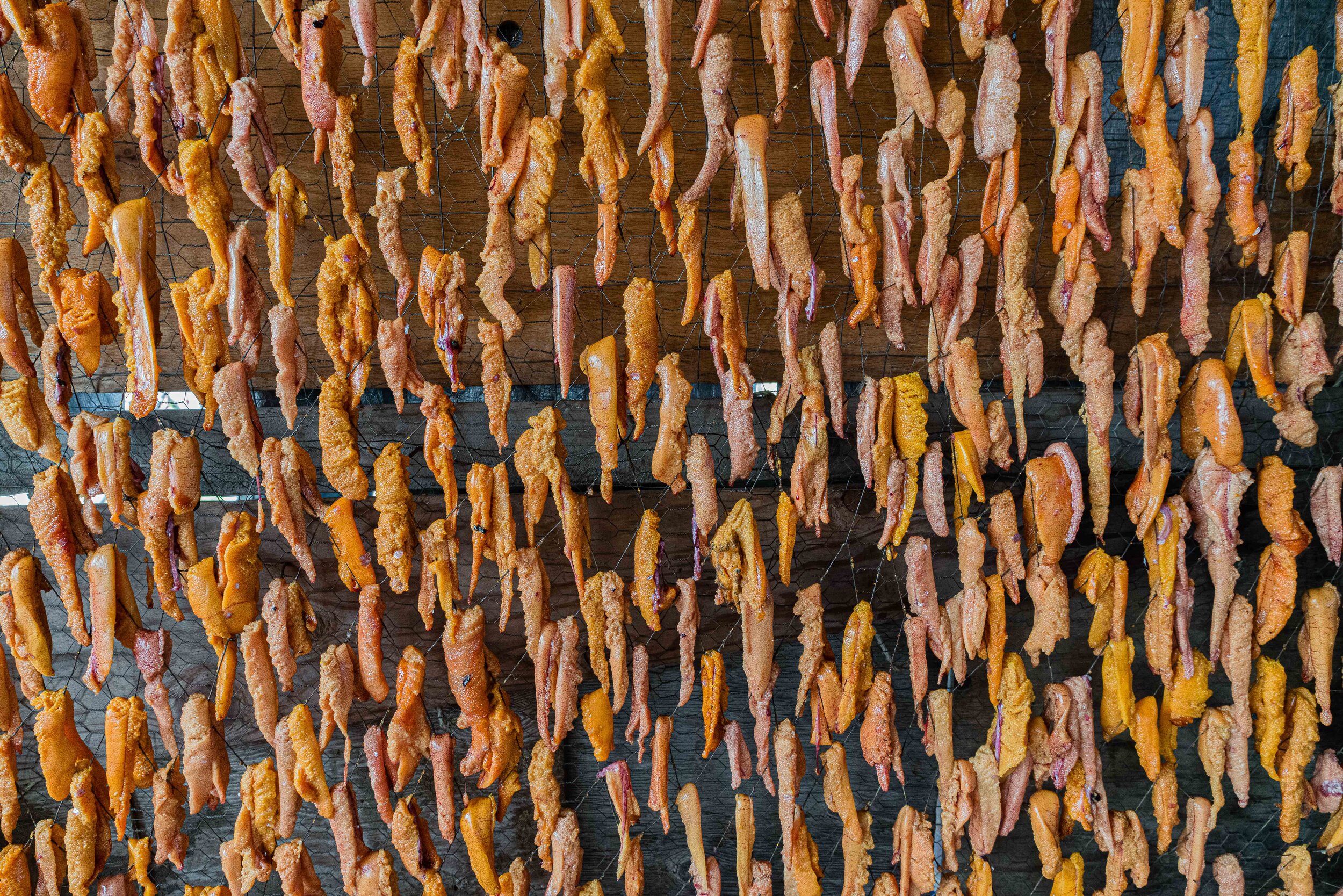 Drying Salmon Roe