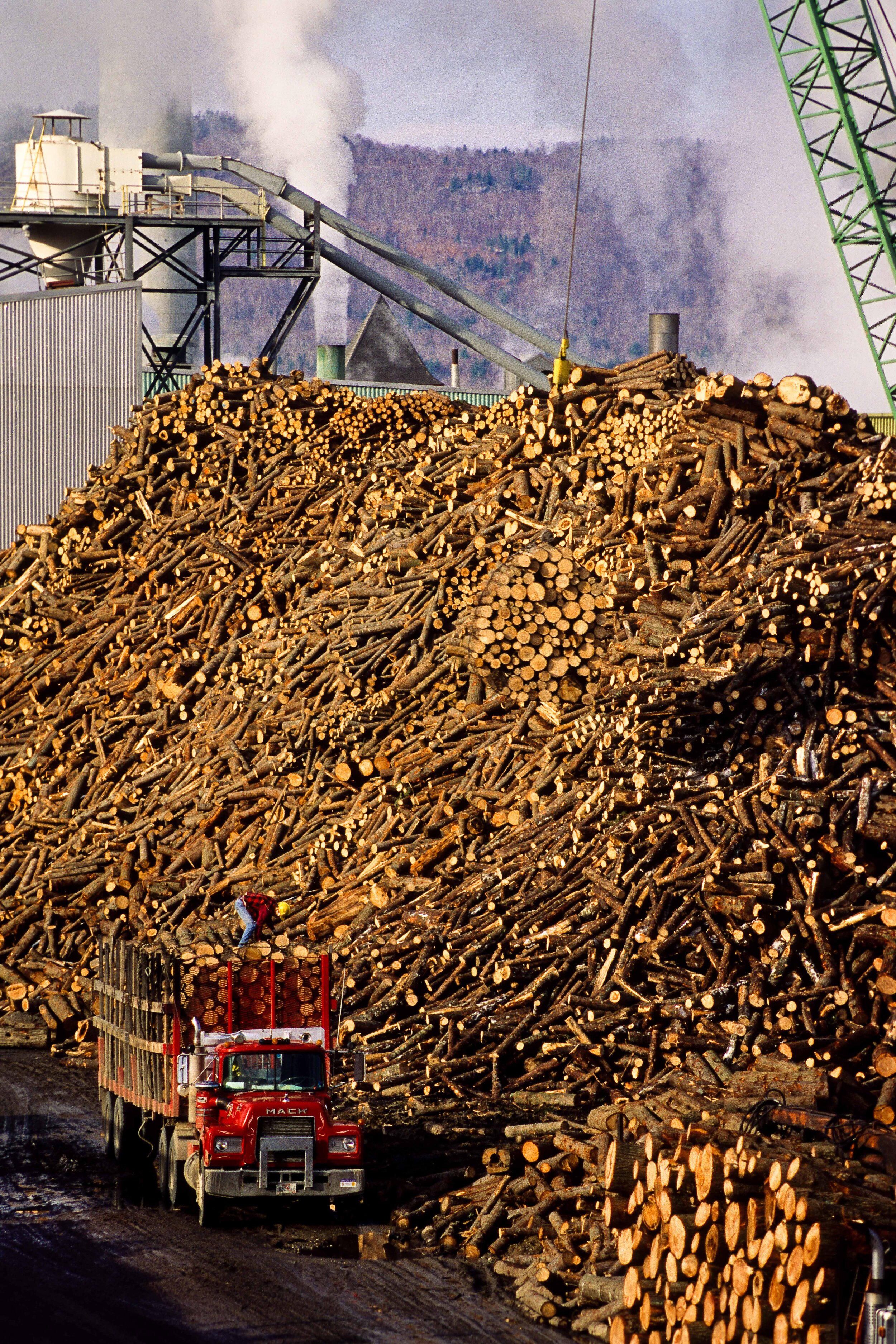 Logging Truck and a Mountain of Pulp Wood