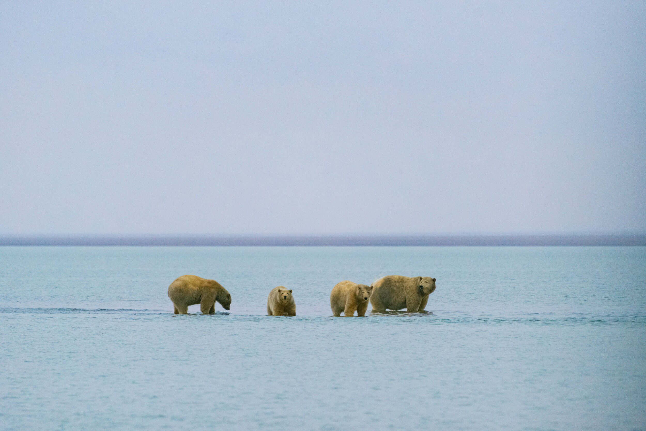 In The Refuge