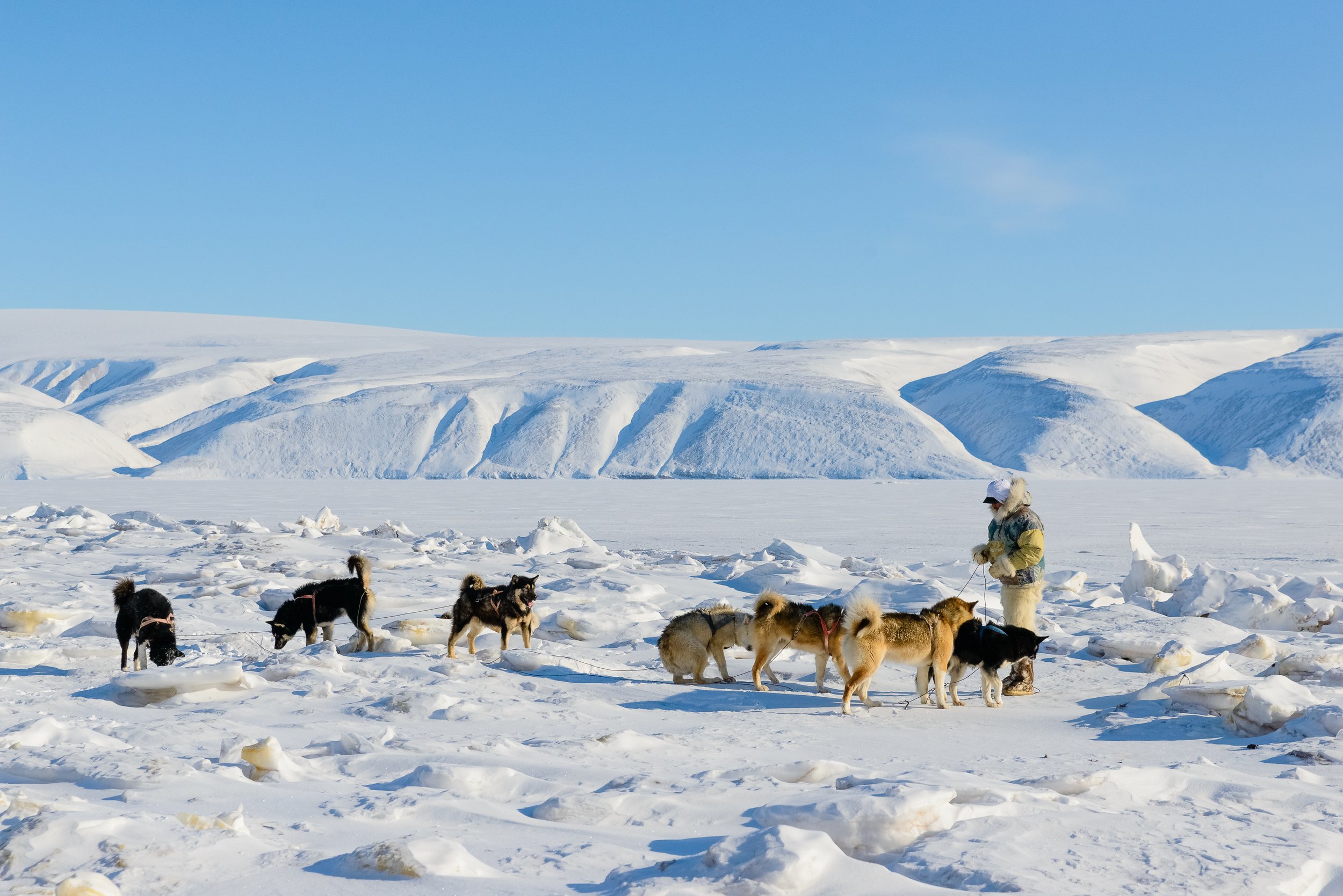 The Last Ice Hunters