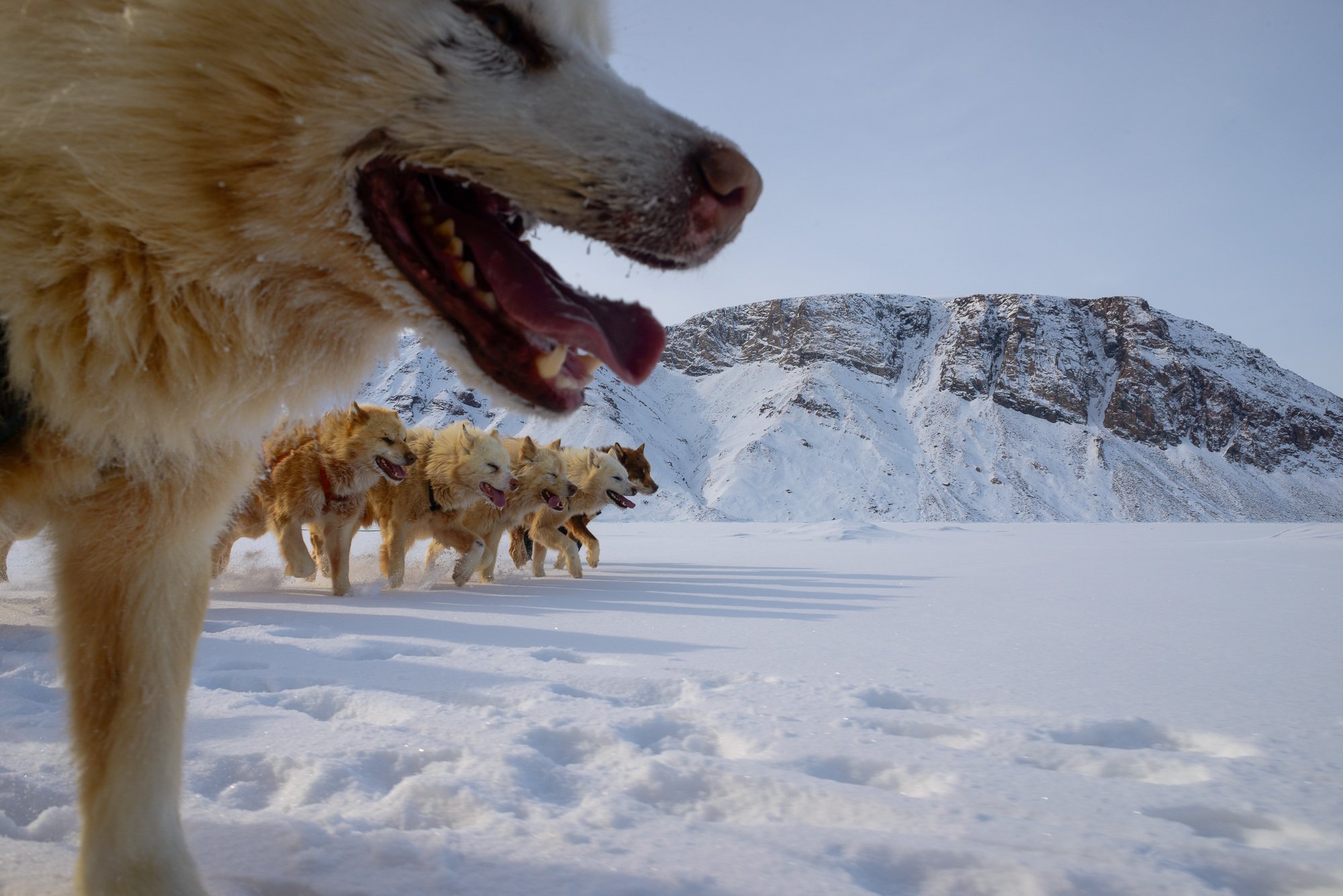 The Last Ice Hunters