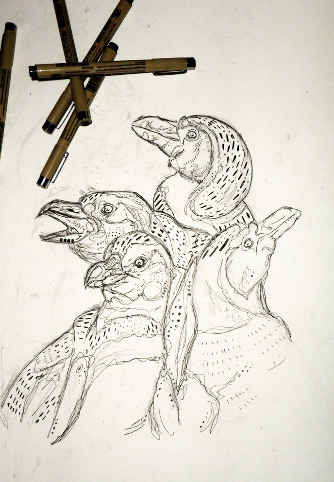 penguin-sketch.jpg