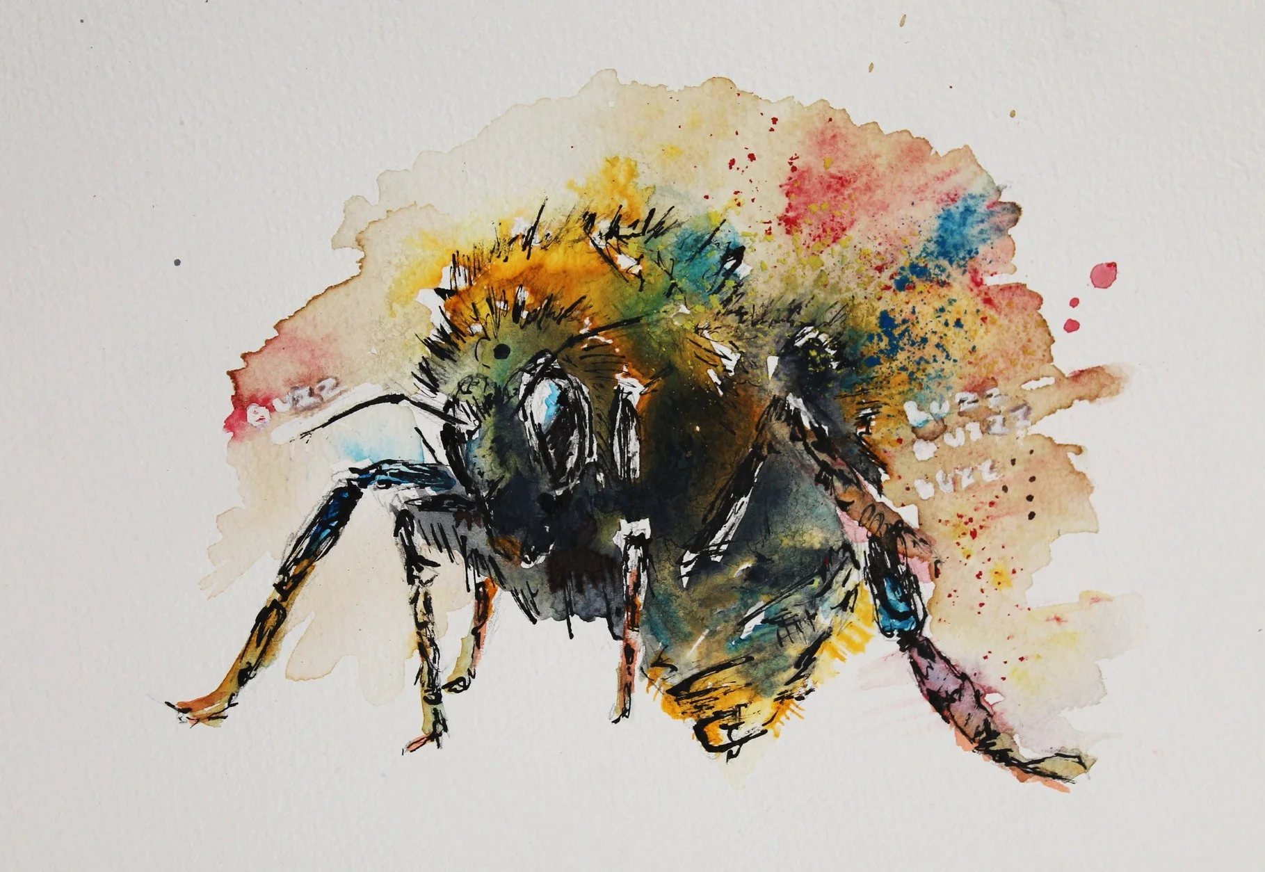bee-4.jpg