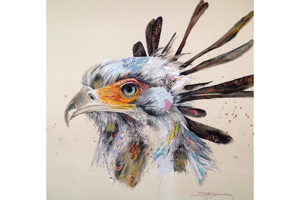 Secretary Bird © Sophie Standing sophiestandingart.com