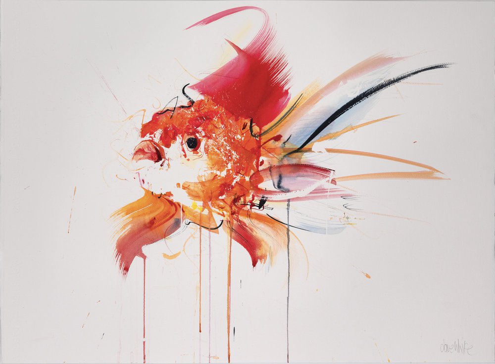 Goldfish IV © Dave White davewhiteart.com