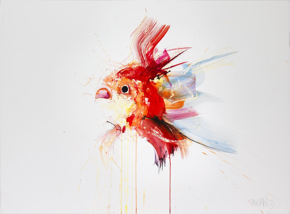 Goldfish I © Dave White davewhiteart.com