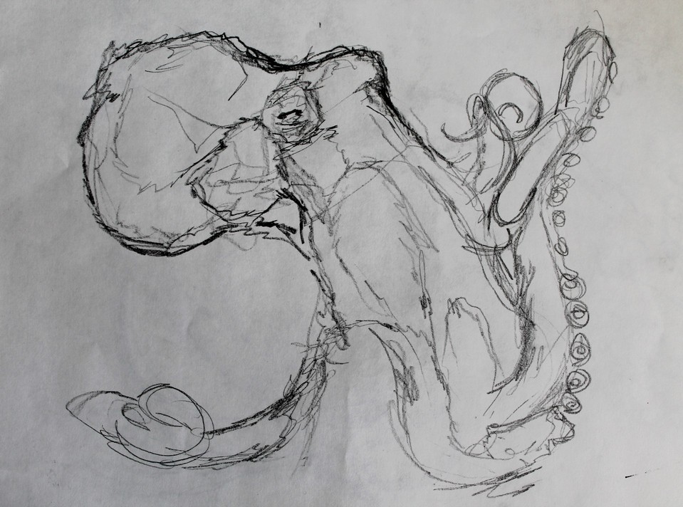One of the many continuous-line drawings I do before I start a painting.