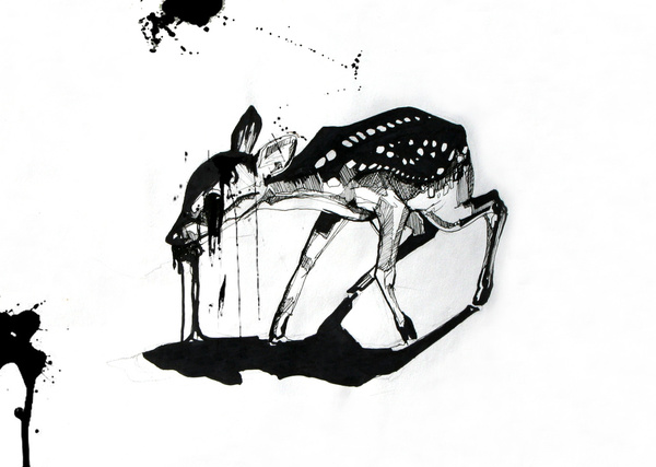 Failure is not an Option © Joni Belaruski jonibelaruski.com