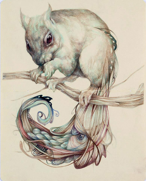 The Chemical Squirrel © Marco Mazzoni marcomazzoni.tumblr.com