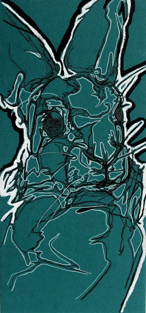 Rabbit-Drawing1.jpg