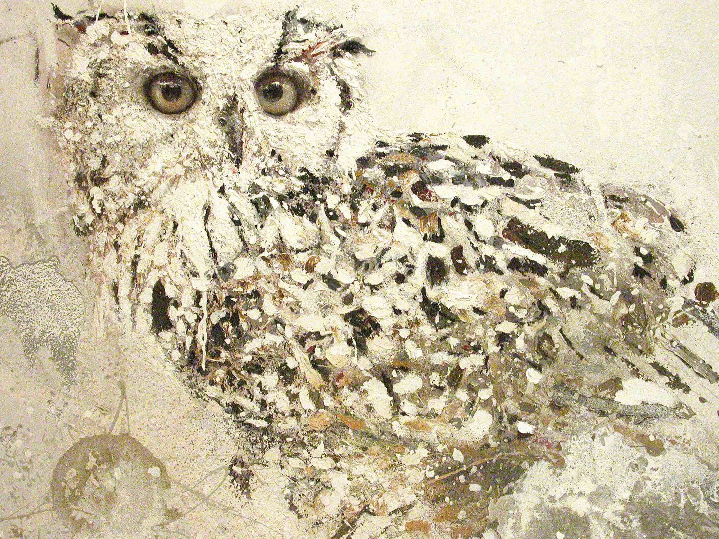 Eagle Owl © Georges Rossi georgesrossi.com