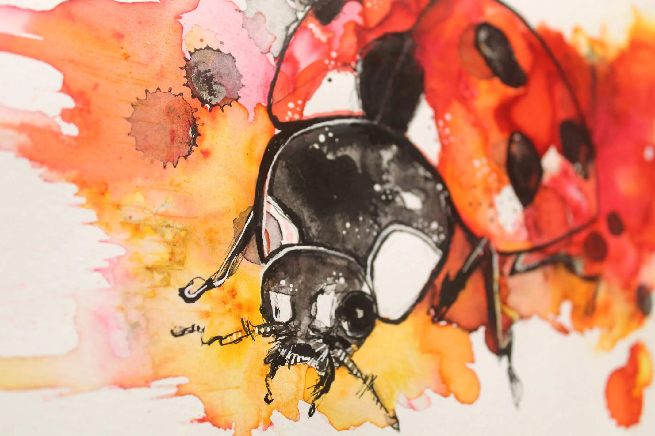 ladybird-depth-march-2019.jpg