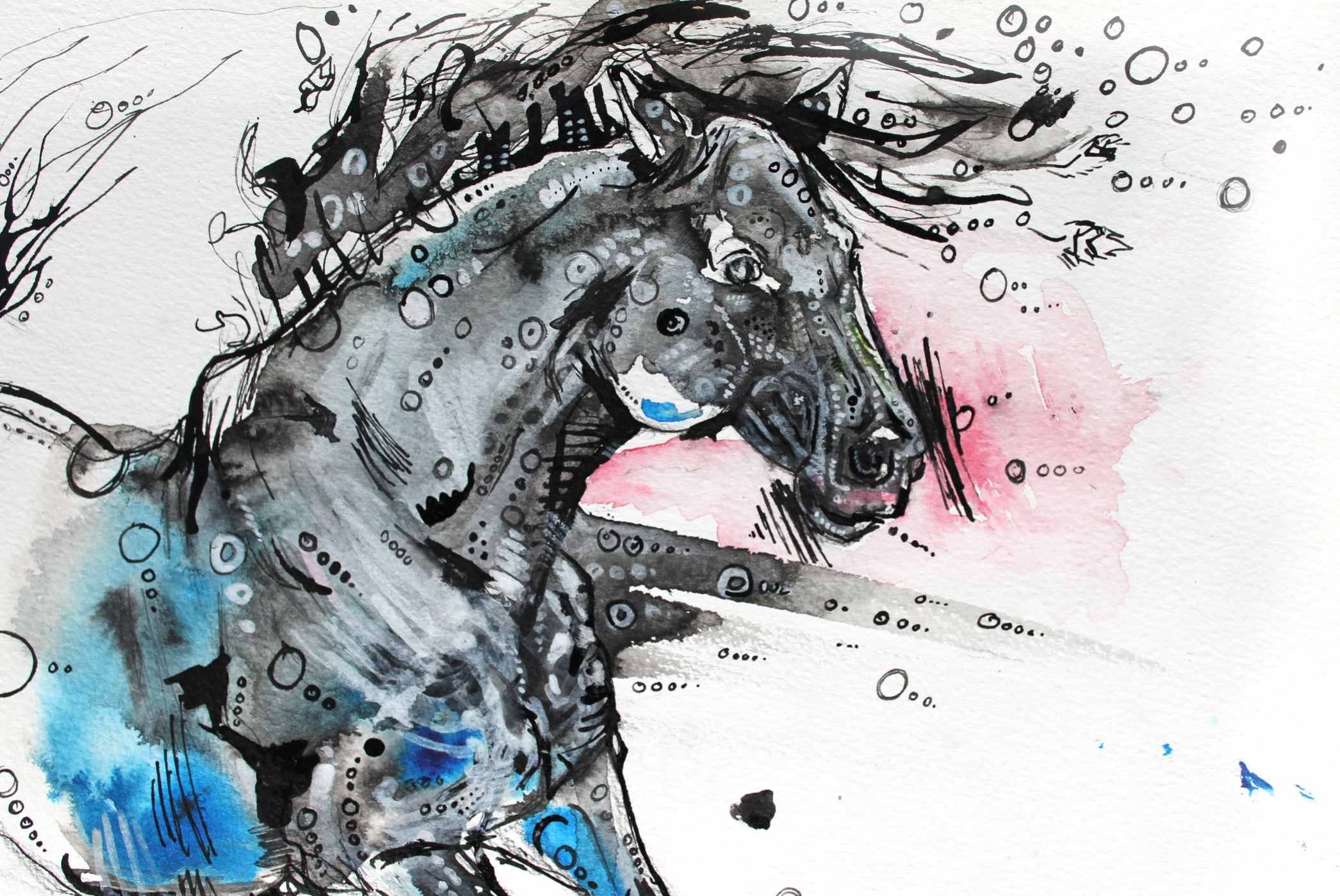 blackhorse-2013.jpg