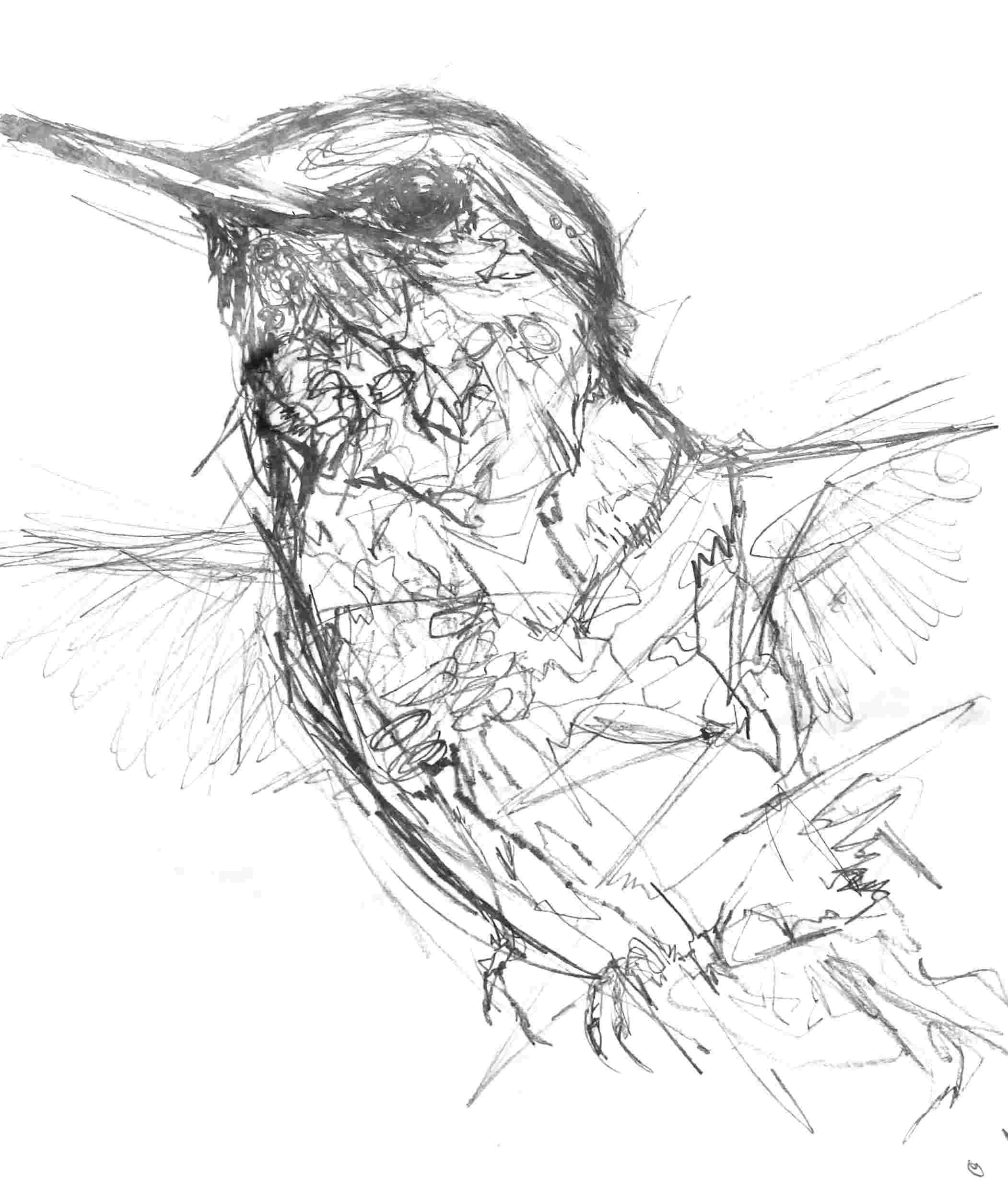hummingbird-3-2015.jpg