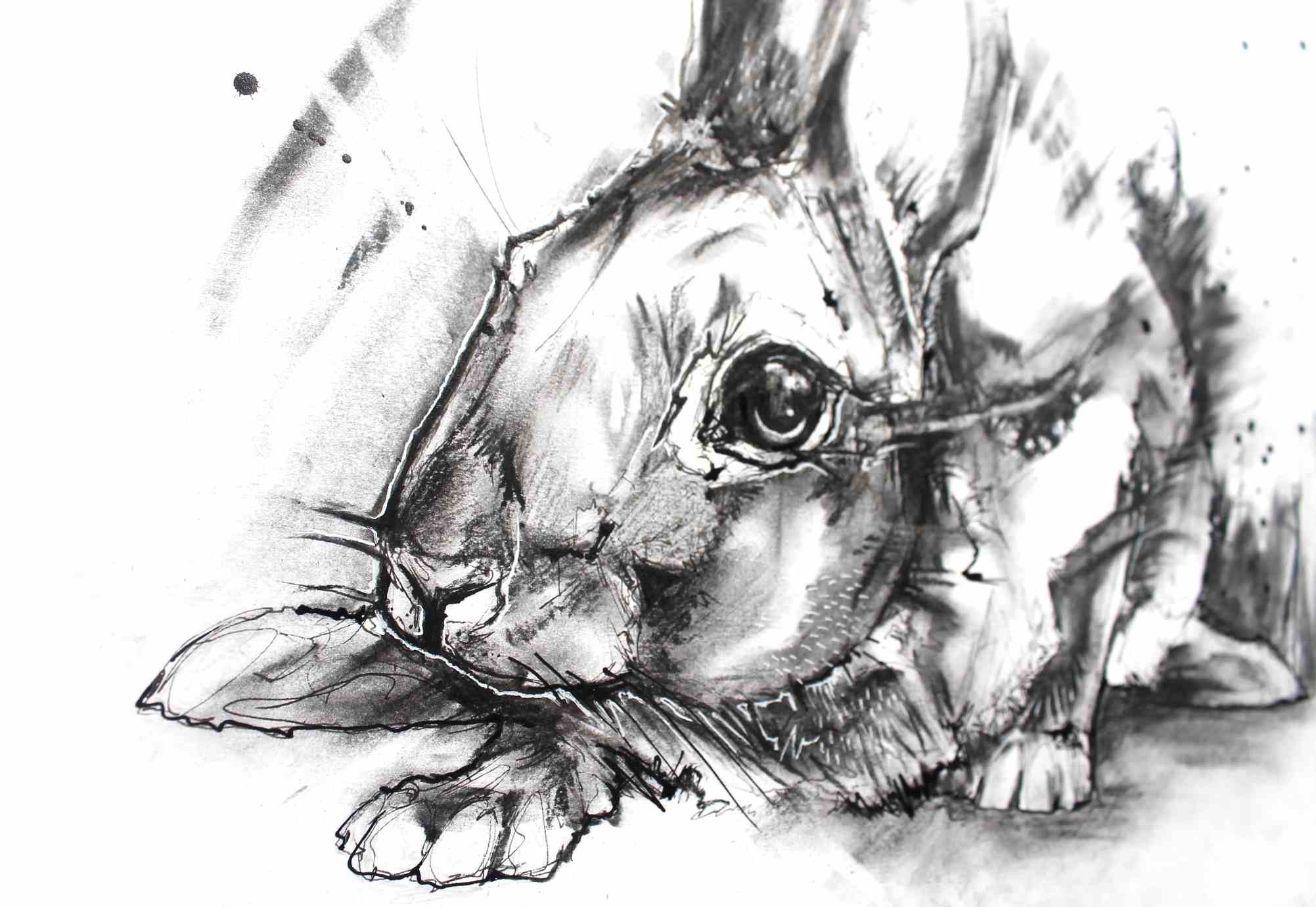charcoal-hare1-2016.jpg