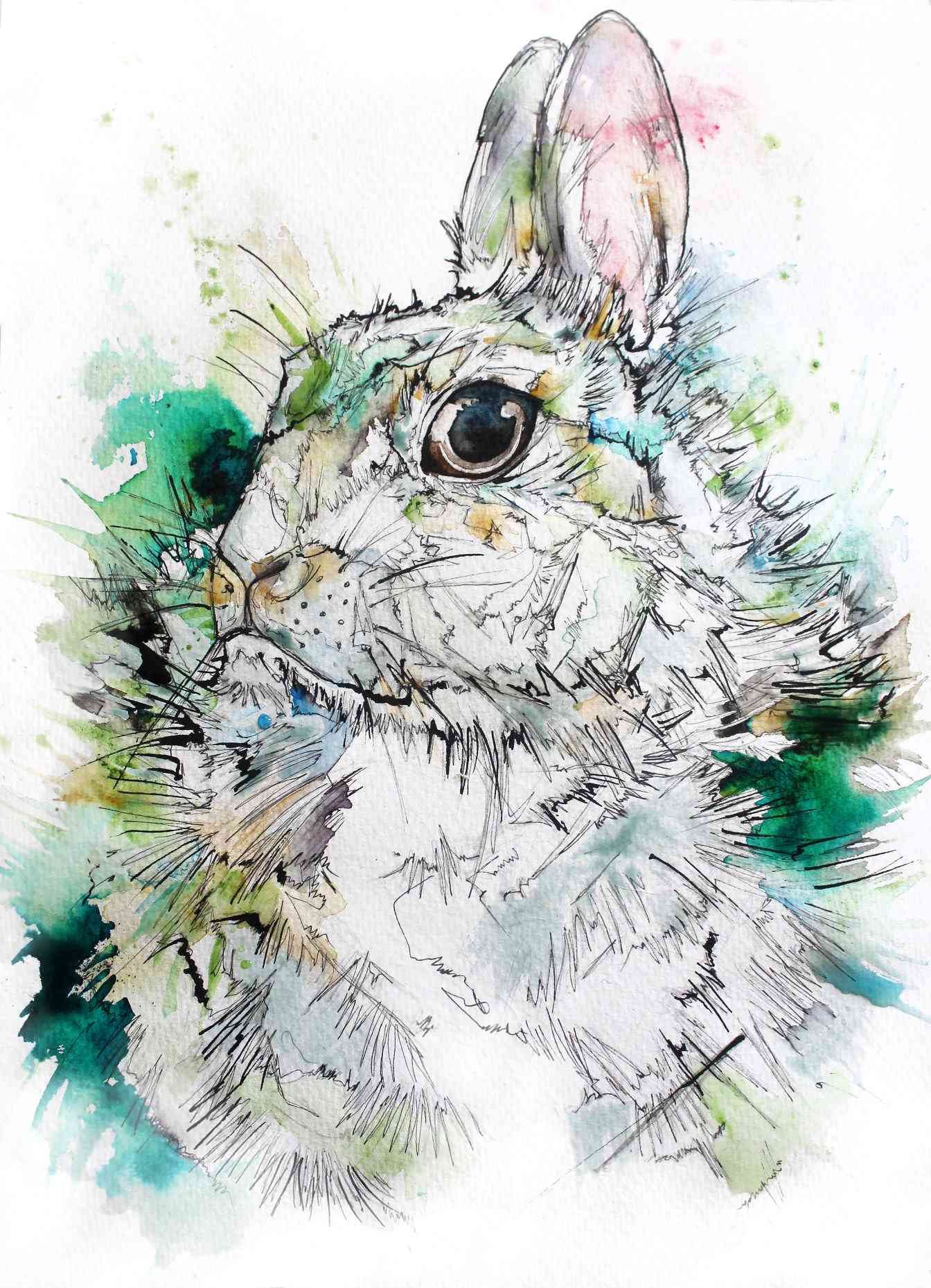 flora-rabbit6-2016.jpg